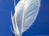 degrade-de-viento-4.jpg