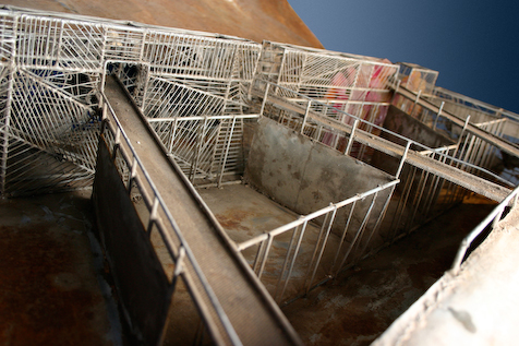 Vista desde el interior de “Proyecto Habitacional”